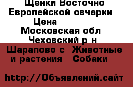 Щенки Восточно Европейской овчарки › Цена ­ 20 000 - Московская обл., Чеховский р-н, Шарапово с. Животные и растения » Собаки   